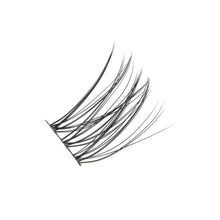 Load image into Gallery viewer, Fallon