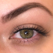 Load image into Gallery viewer, Madison